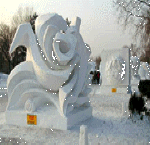 Snow Rose-Debbie Stotter