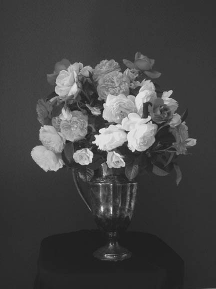 B&W Arrangement